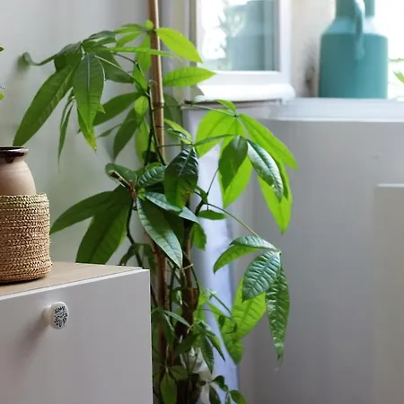 Apartamento L Annex Centre Annecy